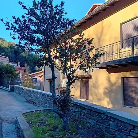 Peonia * أريتزو